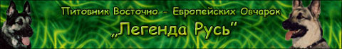 http://smiles.ucoz.ru/_ld/0/8_Banner.jpg